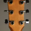 Taylor 110ce Acoustic Electric Guitar – New
