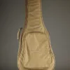 Taylor 110ce Acoustic Electric Guitar – New