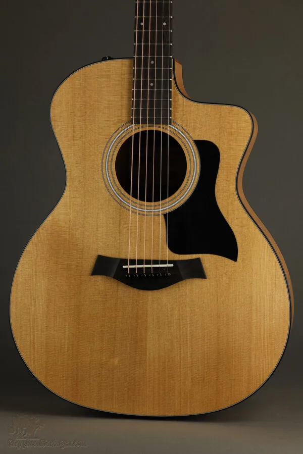 Taylor 114ce Acoustic Electric Guitar – New