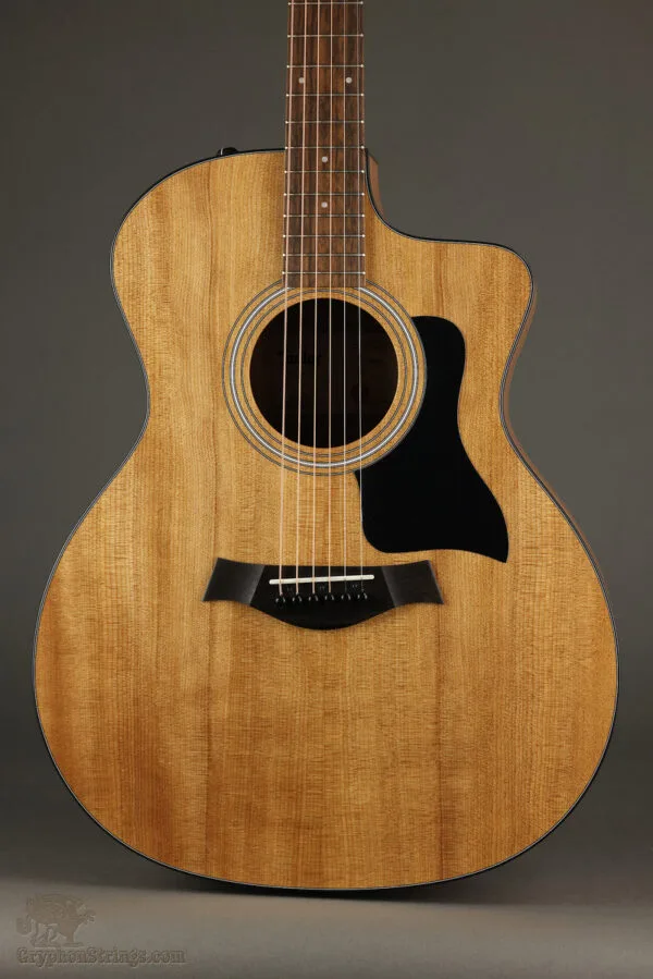 Taylor 114ce Acoustic Electric Guitar – New