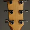 Taylor 114ce Acoustic Electric Guitar – New