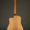 Taylor 150ce Acoustic Electric 12-String Guitar – New