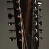 Taylor 150ce Acoustic Electric 12-String Guitar – New