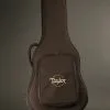 Taylor 210ce Plus Acoustic Electric Guitar – New