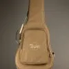 Taylor 212ce Acoustic Electric Guitar – New