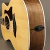 Taylor 214ce Acoustic Electric Guitar – New