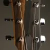Taylor 214ce Acoustic Electric Guitar – New