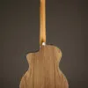 Taylor 214ce Acoustic Electric Guitar – New