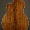 Taylor 214ce-K DLX Acoustic Electric Guitar – New