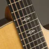 Taylor 214ce-K DLX Acoustic Electric Guitar – New