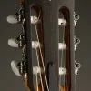 Taylor 214ce-N Acoustic Electric Nylon String Guitar – New
