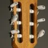Taylor 214ce-N Acoustic Electric Nylon String Guitar – New