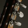 Taylor 214ce-N Acoustic Electric Nylon String Guitar – New