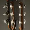 Taylor 214ce-N Acoustic Electric Nylon String Guitar – New