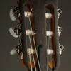 Taylor 214ce-N Nylon String Acoustic Electric Guitar – New