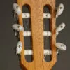 Taylor 214ce-N Nylon String Acoustic Electric Guitar – New