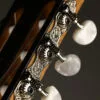 Taylor 214ce-N Nylon String Acoustic Electric Guitar – New