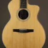 Taylor 214ce-N Nylon String Acoustic Electric Guitar – New