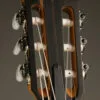 Taylor 214ce-N Nylon String Acoustic Electric Guitar – New