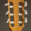 Taylor 214ce-N Nylon String Acoustic Electric Guitar – New