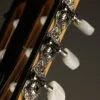 Taylor 214ce-N Nylon String Acoustic Electric Guitar – New