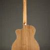 Taylor 214ce-N Nylon String Acoustic Electric Guitar – New