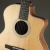 Taylor 214ce-N Nylon String Acoustic Electric Guitar – New