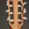 Taylor 214ce-N Nylon String Acoustic Electric Guitar – New
