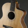 Taylor 214ce-N Nylon String Acoustic Electric Guitar – New