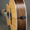 Taylor 214ce-N Nylon String Acoustic Electric Guitar – New