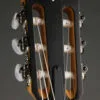Taylor 214ce-N Nylon String Acoustic Electric Guitar – New