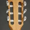 Taylor 214ce-N Nylon String Acoustic Electric Guitar – New