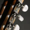Taylor 214ce-N Nylon String Acoustic Electric Guitar – New