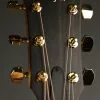 Taylor 224ce-K DLX Acoustic Electric Guitar – New