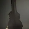 Taylor 224ce-K DLX Acoustic Electric Guitar – New