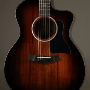 Taylor 224ce-K DLX Acoustic Electric Guitar – New