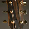 Taylor 224ce-K DLX Acoustic Electric Guitar – New