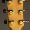 Taylor 224ce-K DLX Acoustic Electric Guitar – New