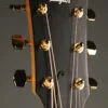 Taylor 224ce-K DLX Acoustic Electric Guitar – New
