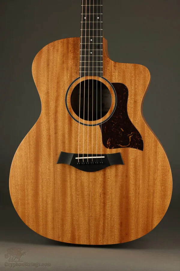 Taylor 24ce Acoustic Electric Guitar – New