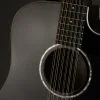Taylor 250ce-BLK Plus 12-String Acoustic Electric Guitar – New