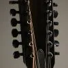 Taylor 250ce-BLK Plus 12-String Acoustic Electric Guitar – New