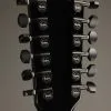 Taylor 250ce-BLK Plus 12-String Acoustic Electric Guitar – New