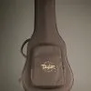Taylor 250ce-BLK Plus 12-String Acoustic Electric Guitar – New