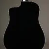 Taylor 250ce-BLK Plus 12-String Acoustic Electric Guitar – New