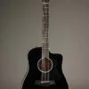 Taylor 250ce-BLK Plus 12-String Acoustic Electric Guitar – New