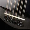 Taylor 250ce-BLK Plus 12-String Acoustic Electric Guitar – New