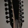 Taylor 250ce-BLK Plus 12-String Acoustic Electric Guitar – New