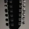 Taylor 250ce-BLK Plus 12-String Acoustic Electric Guitar – New