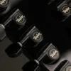 Taylor 250ce-BLK Plus 12-String Acoustic Electric Guitar – New